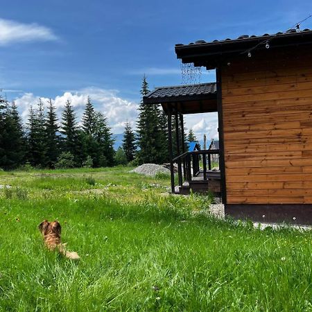 Коттедж Для Отдыха Дискавери Yablunytsya Esterno foto